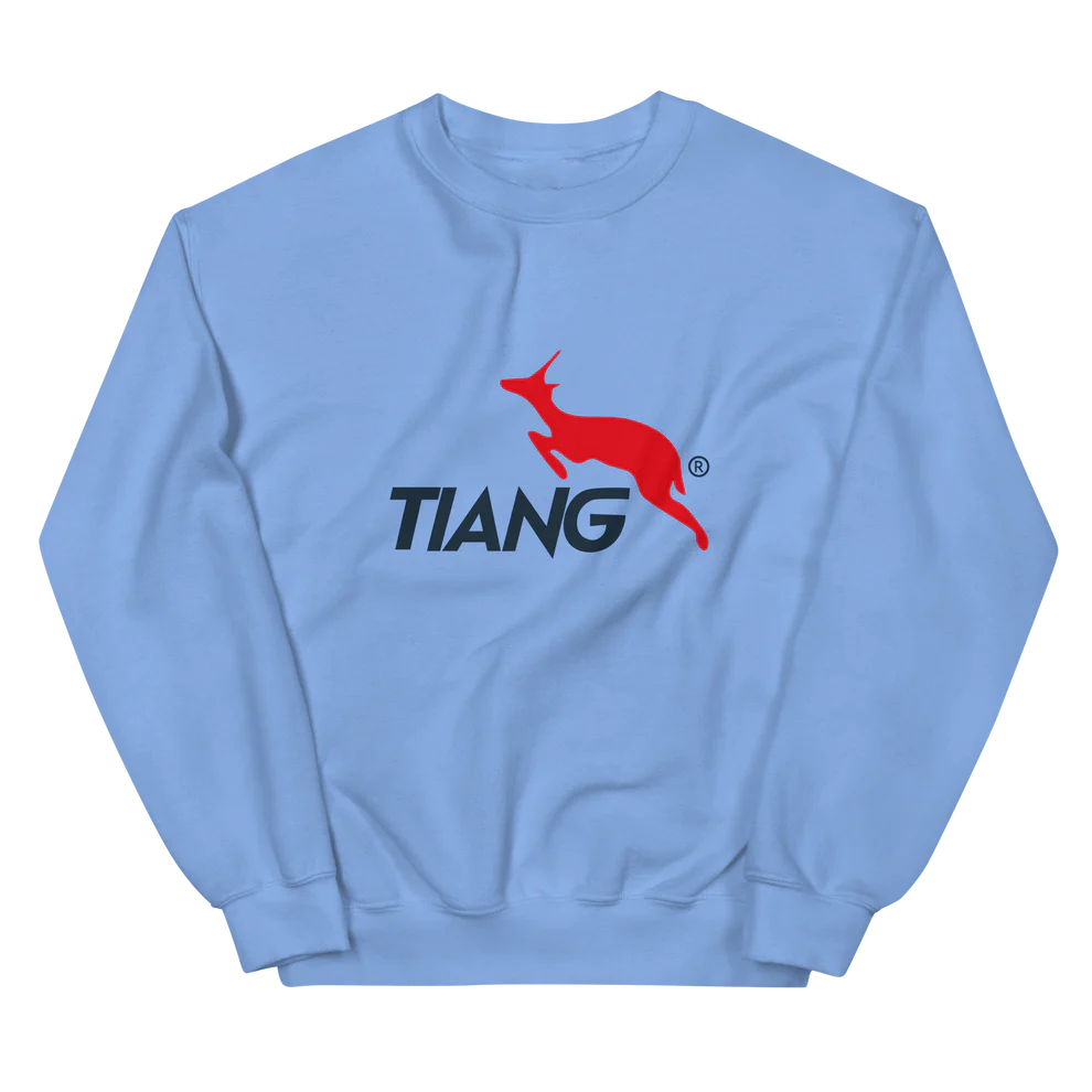 CLASSIC LOGO DTF Sudadera SPG26